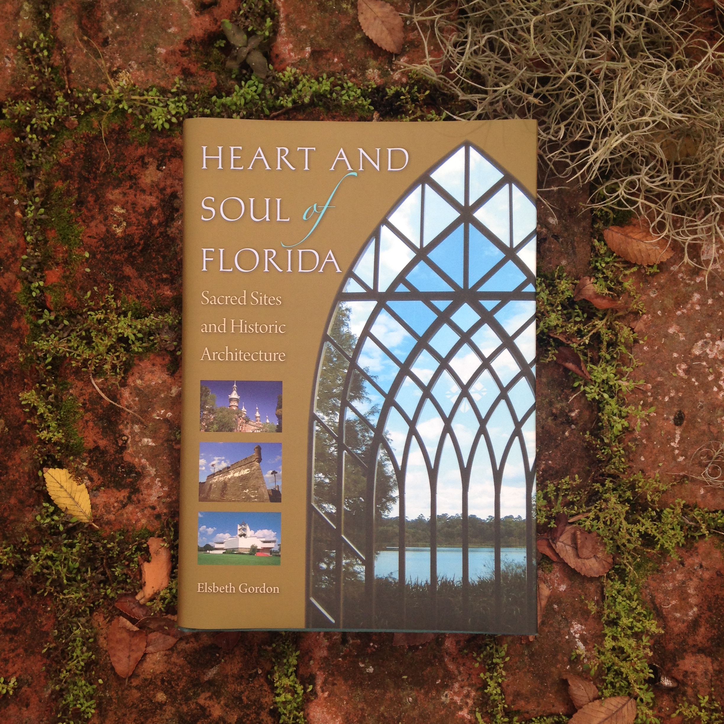 Heart And Soul Of Florida Sacred Sites And Historic Architecture