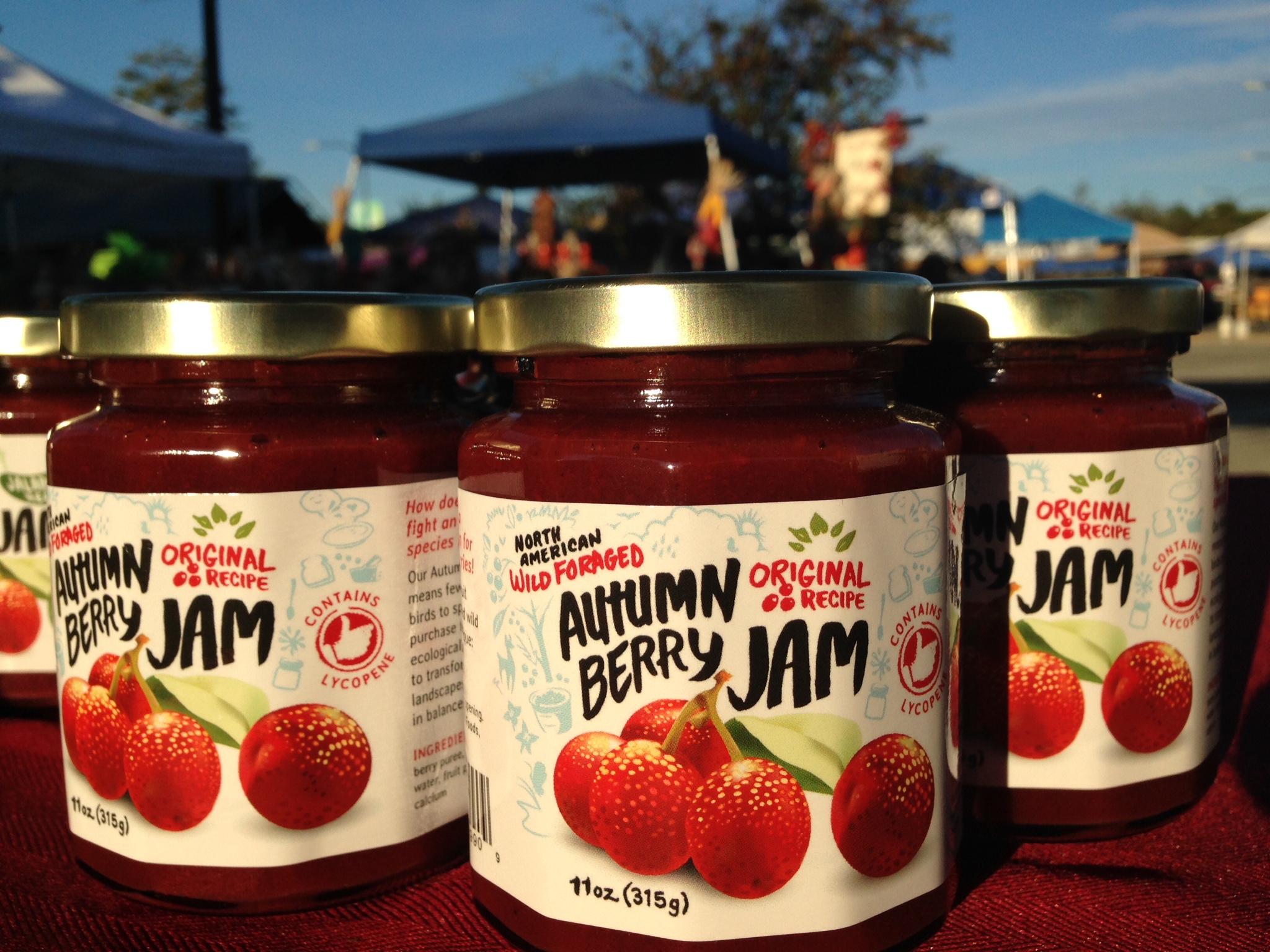 Autumn Berry Jam (Original Recipe)