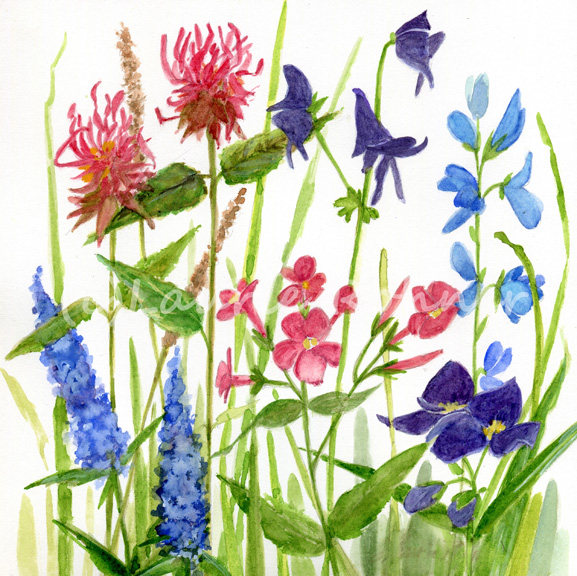 botanical floral watercolor garden