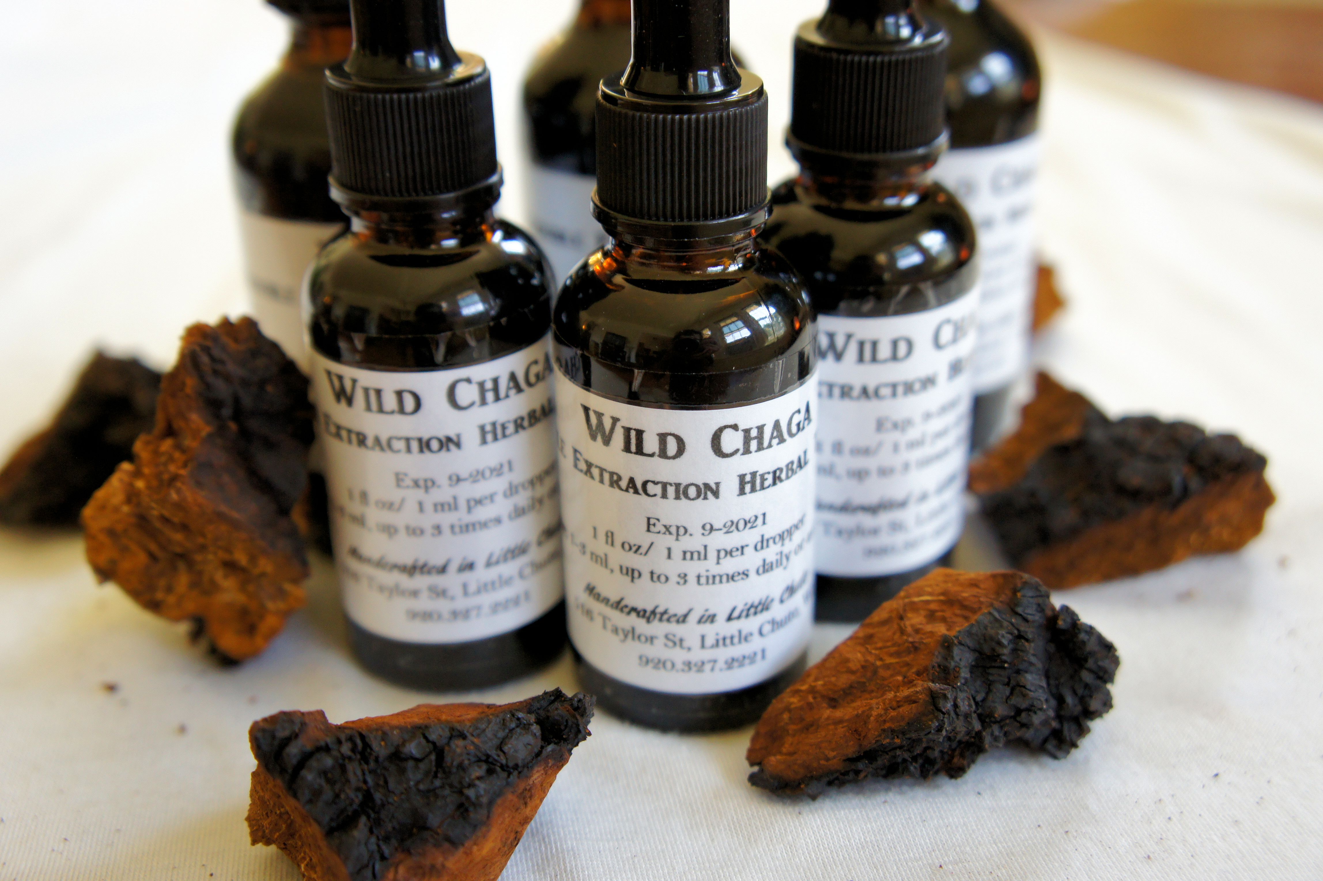 Wild Wisconsin Chaga Double Extraction Tincture 1 oz