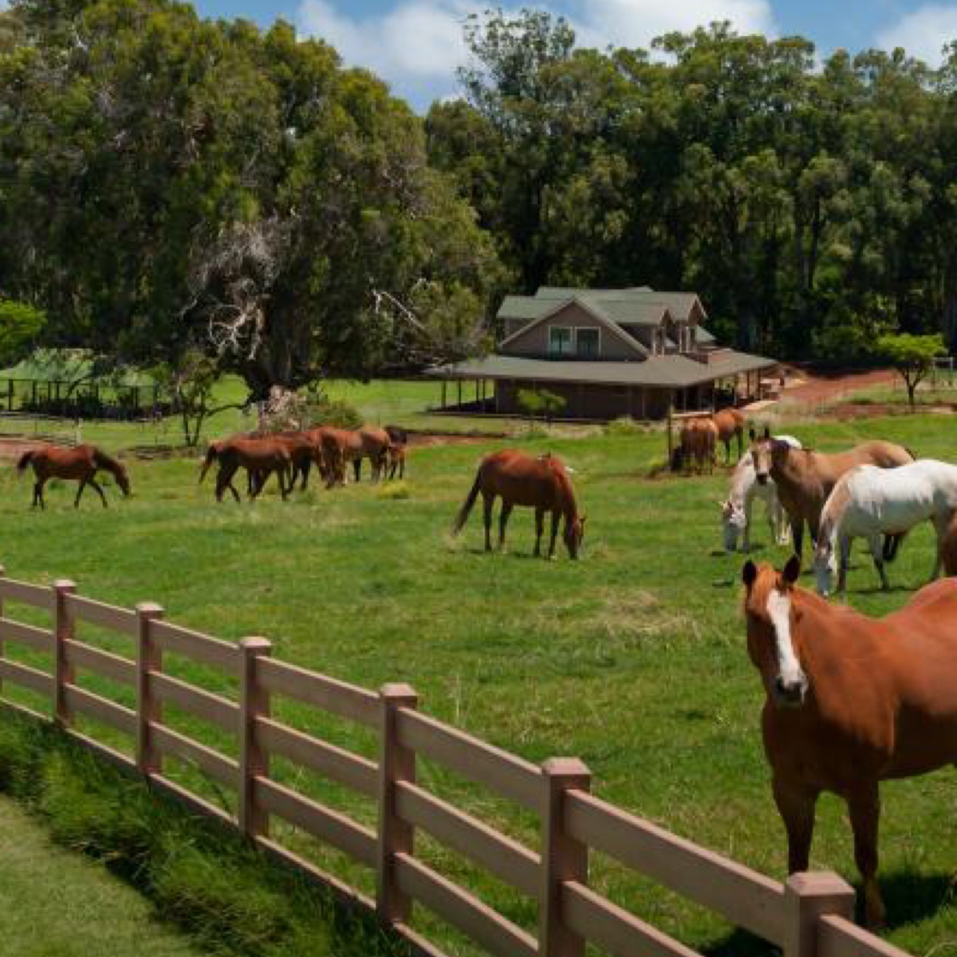 Ranch