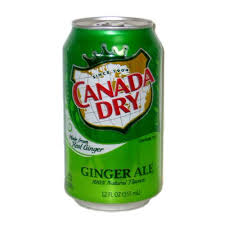 Ginger Ale (can)