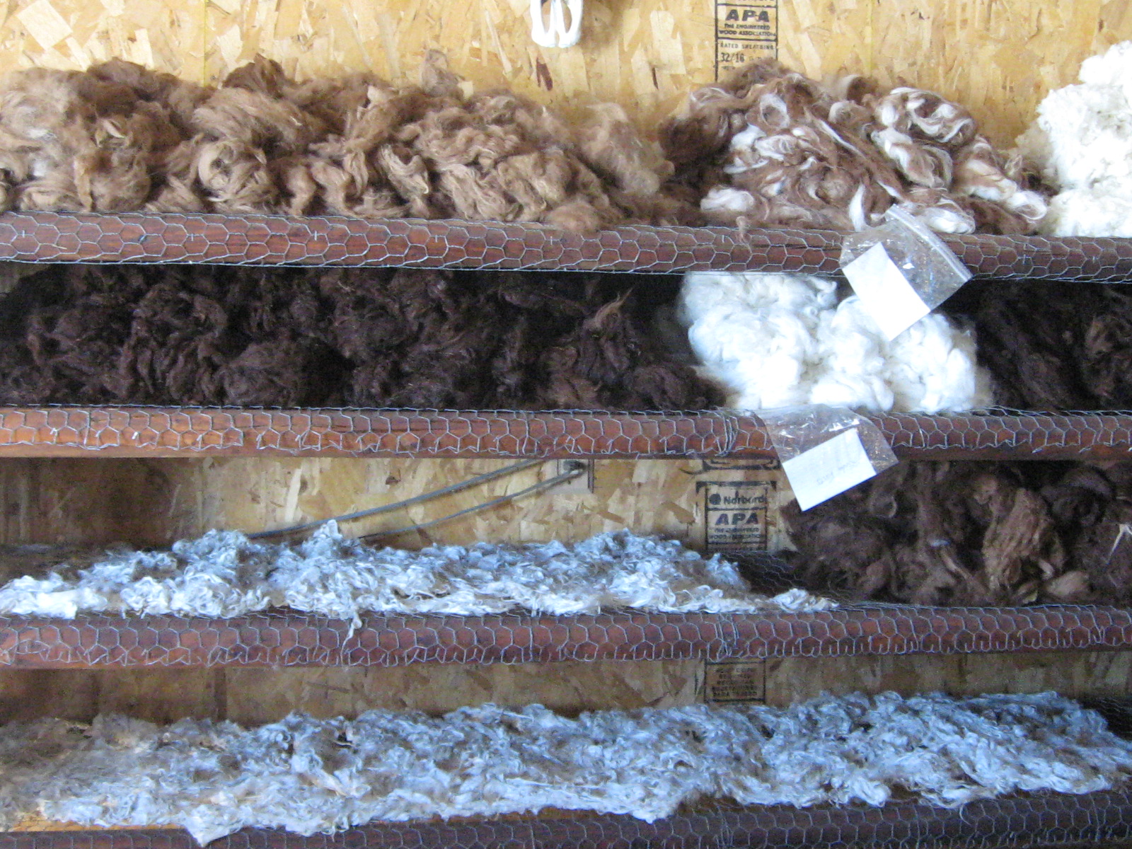 Washed Alpaca Fiber