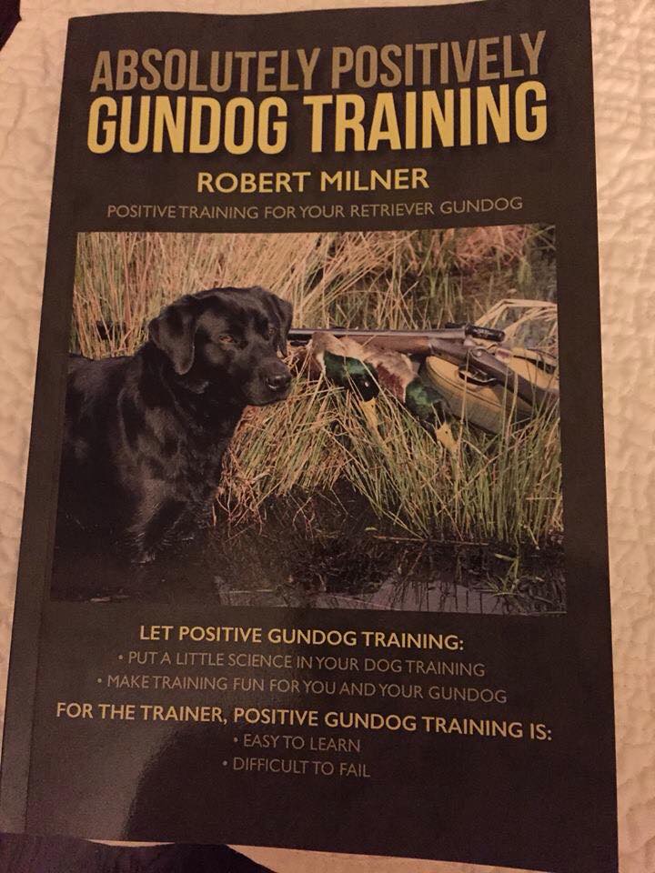 Hunting Dog Training Videos Hunting Dog Training Videos
