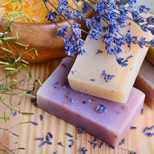 Laurel Lavender Soap (Country Lavender)