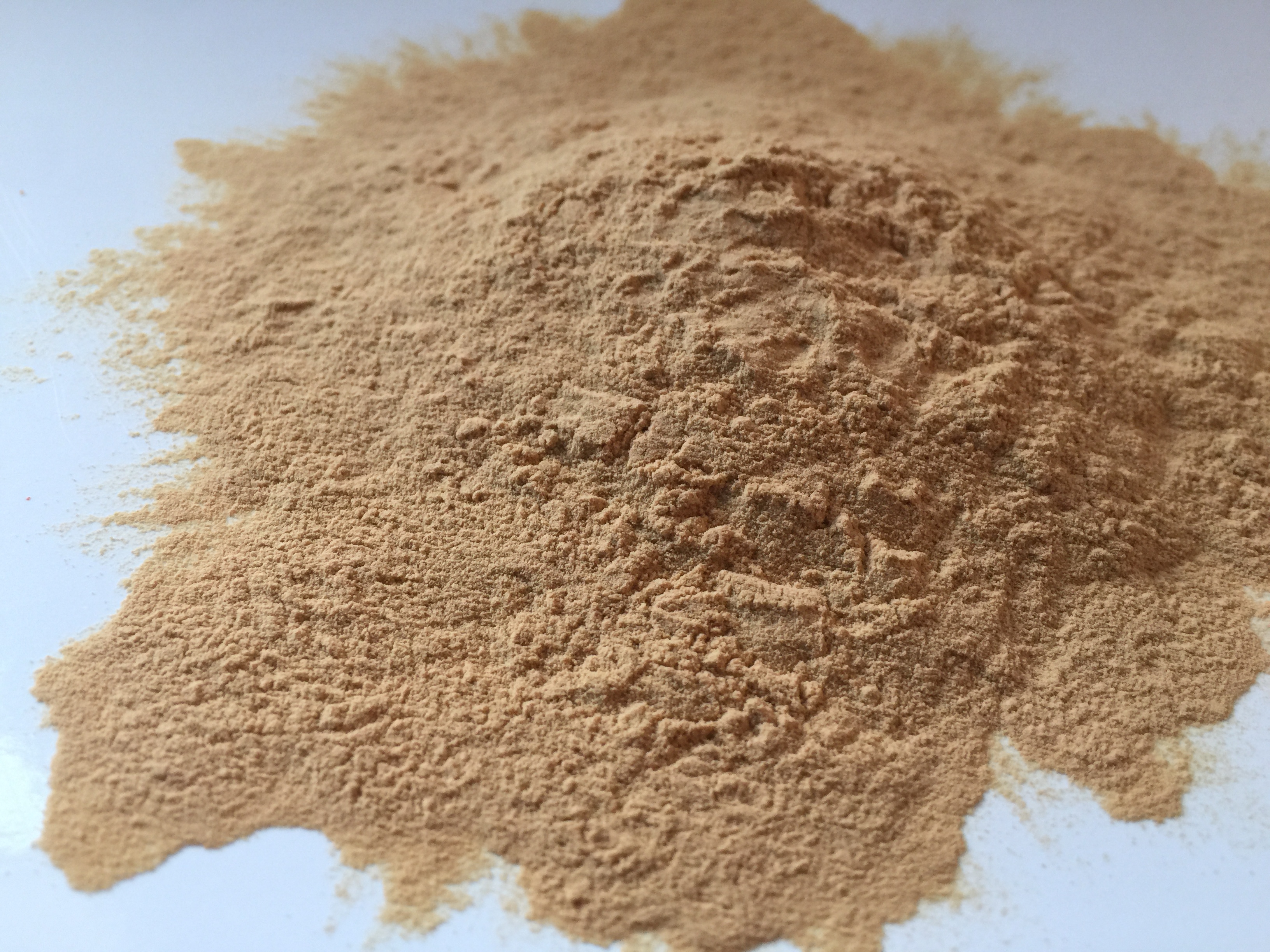 SOY SAUCE POWDER