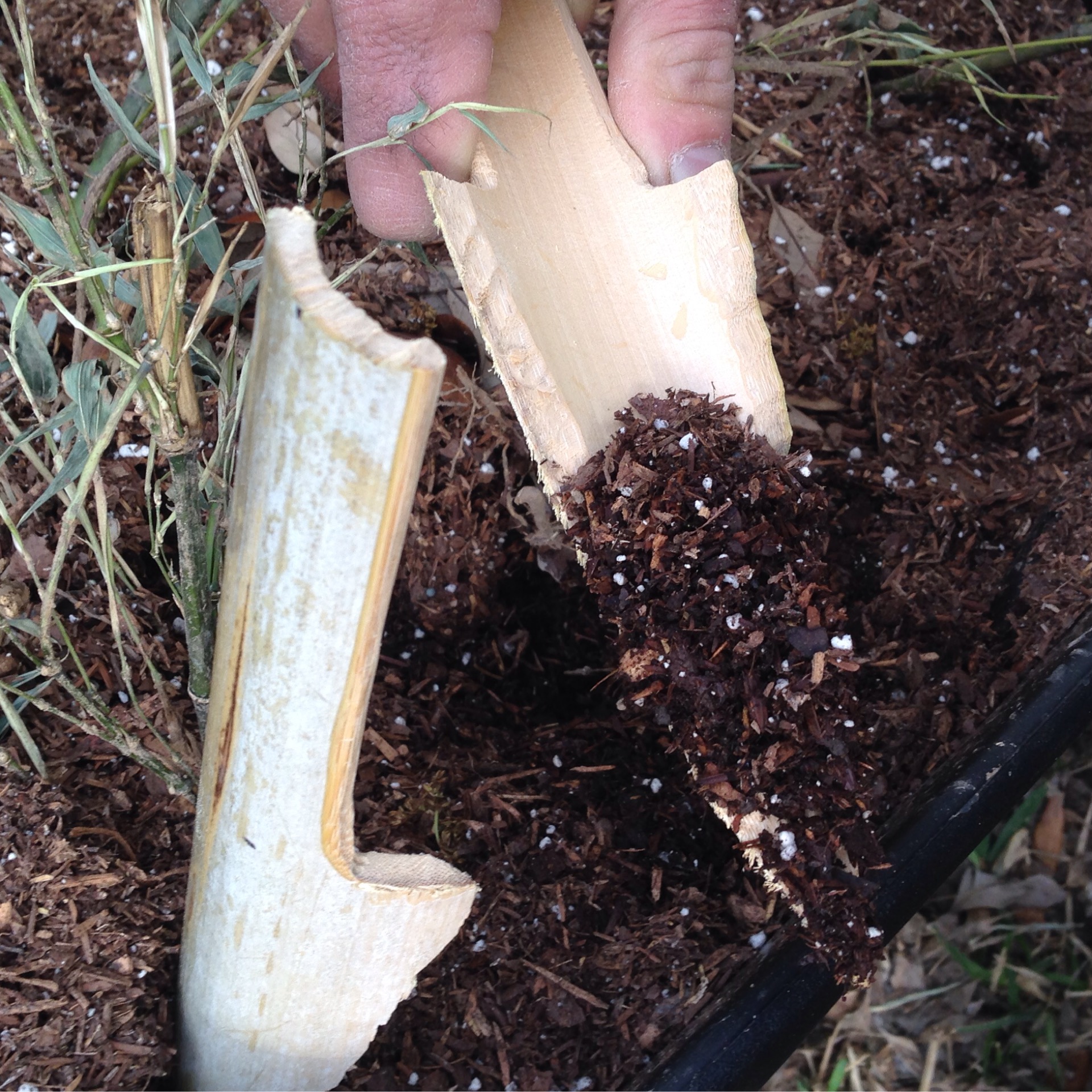 Hand Trowel