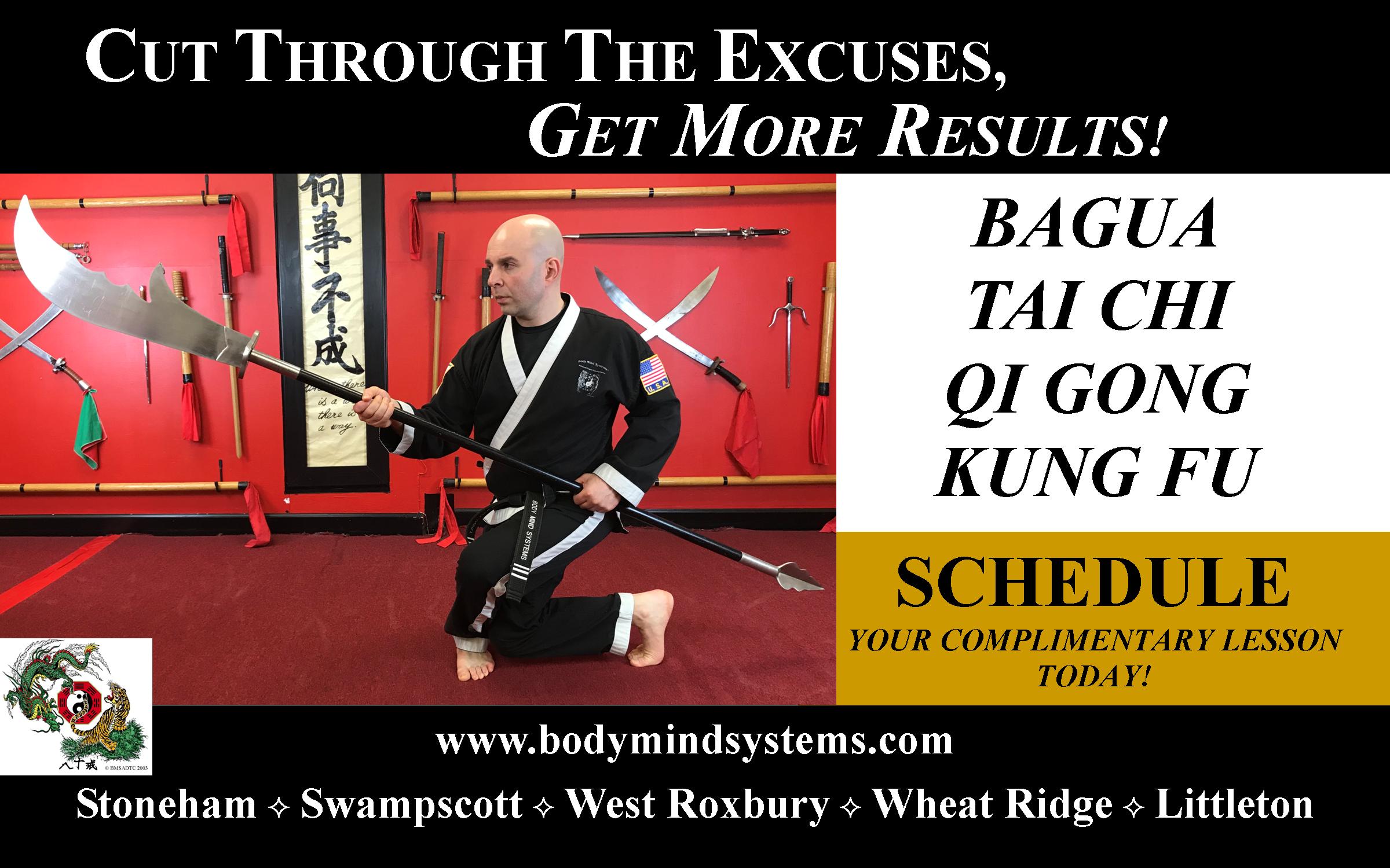 Martial Arts Online Training (Adult Or Child)