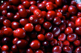 Cranberry Cider