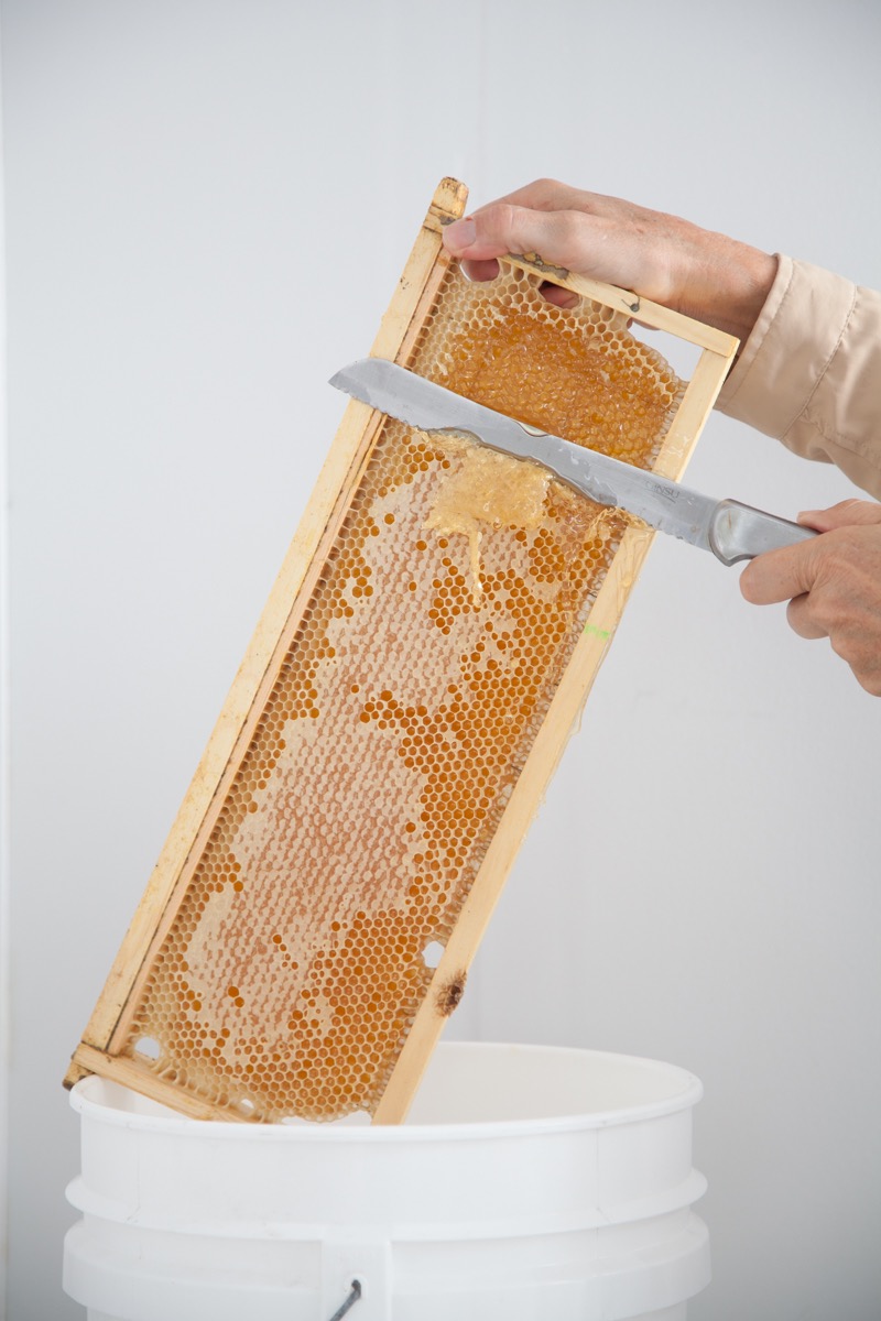 Class - Honey Extraction