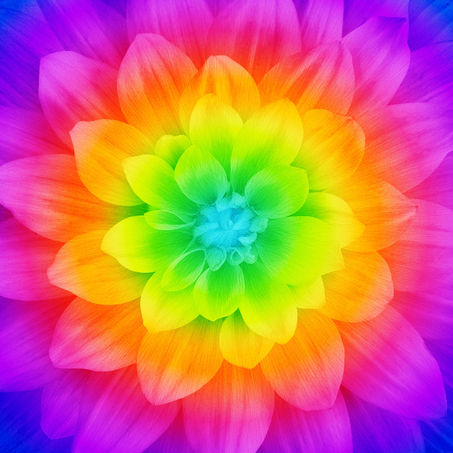 Prism Large Flower 43in x 43in Digitally Printed