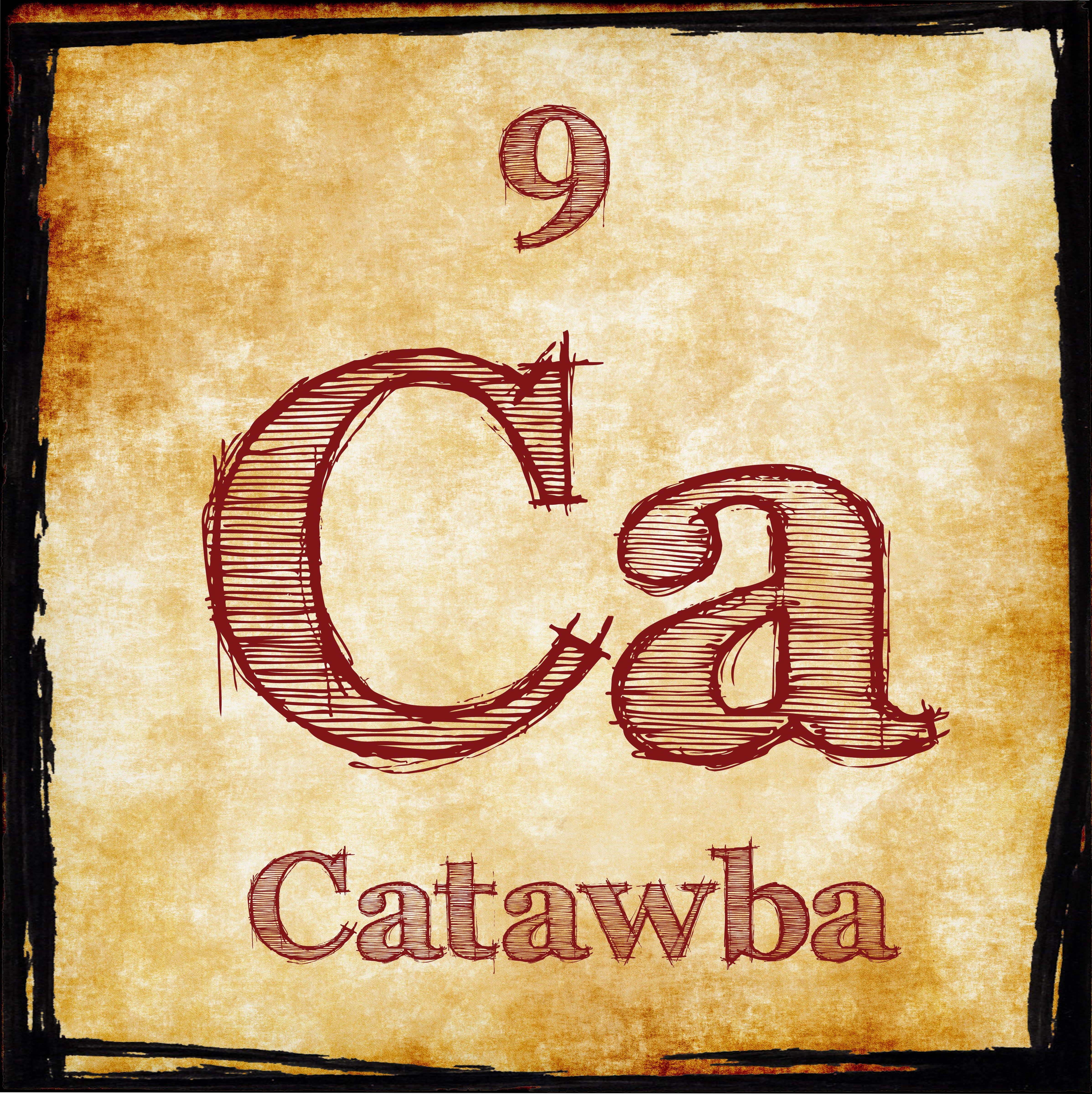 Catawba